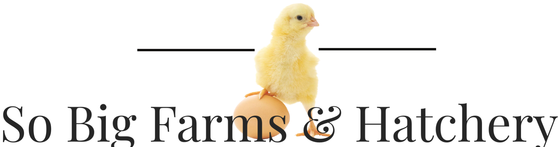 So Big Farms & Hatchery